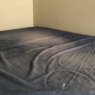 Dusty, bed-bug-infested mattress found prior to moving in.