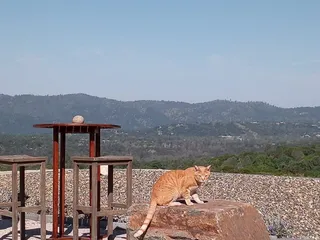 Oakhurst Rock and Landscape Supply