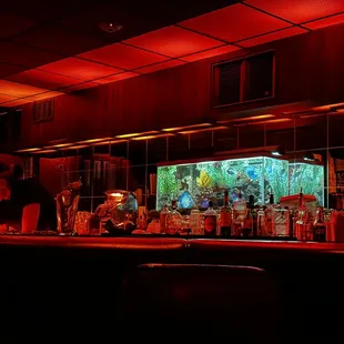 The fishtank behind the bar adds a fun accent color