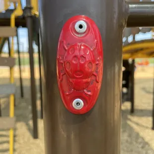 Found the ladybug!