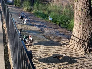 Southside Park