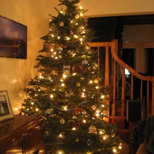 Our tree from Troop 900 all decorated