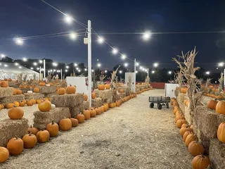 Moore Pumpkin Patch and Christmas Trees