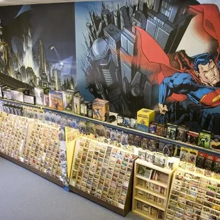 10 foot x 30 foot wall mural = AWSOME!