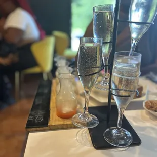 Mimosa Flight