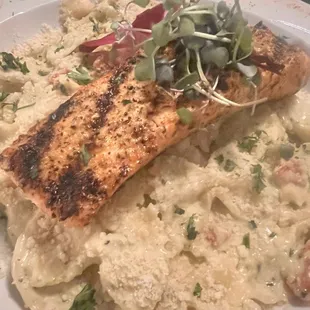 Bow tie pasta with salmon