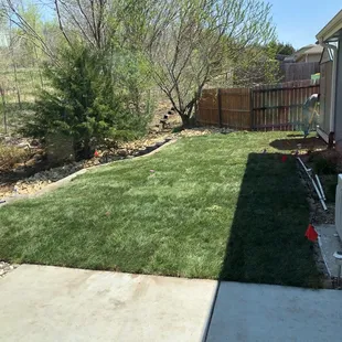 a view of the back yard