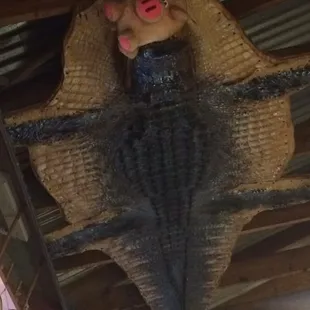 Bubbalou 's Bodacious BBQ