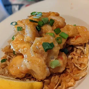 Shot gun shrimp