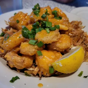 Shotgun shrimp