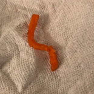 Floppy fry