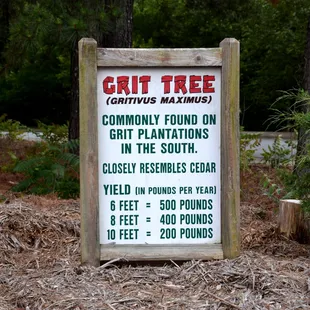 Always wondered where they came from. Now I know