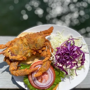 Soft Shell Crab