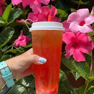 Strawberry Green Tea