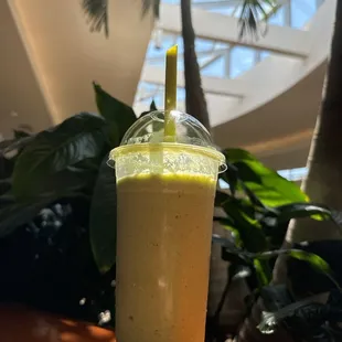 Smoothie in the food court.