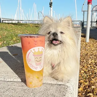 Flamingo with lychee jelly, yummy drink for fruit lovers!