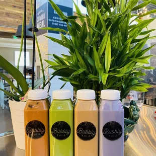 three bottles of tea and a potted plant