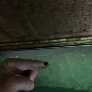 8-24-19This is grease and filth and mold on the cover And under the cover to the ice