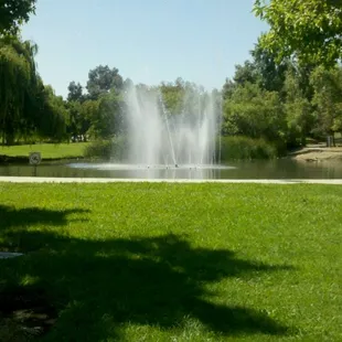 Pond with water spout