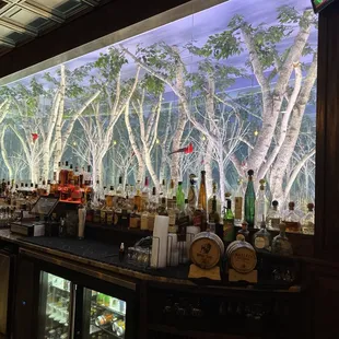 Bar back