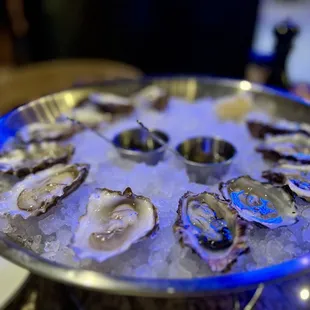 Oysters