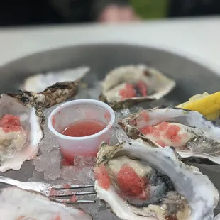 a plate of oysters