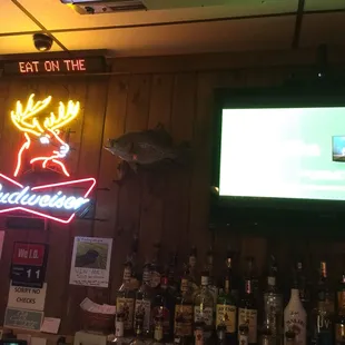 Big fish pulled from red cedar river