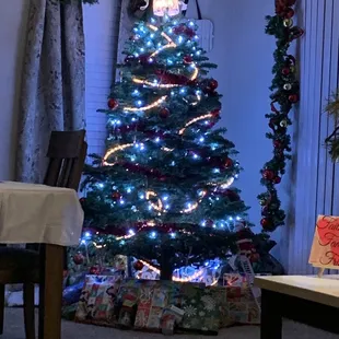 My beautiful tree...