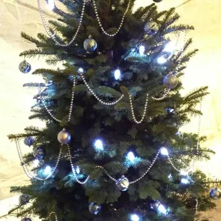 Decorated tree by the front door to get you in the spirit of things