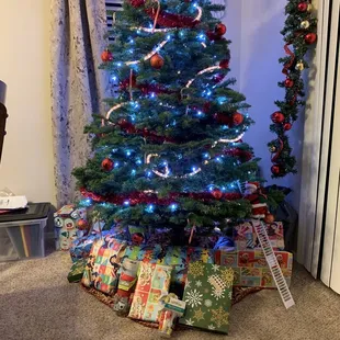 The family loved our tree...