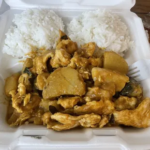 Malaysian chicken curry