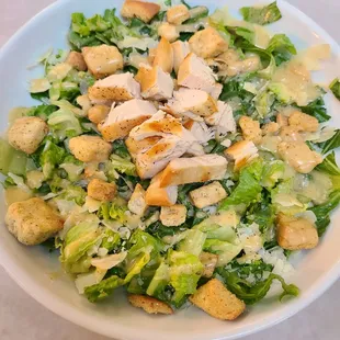 Chicken Ceaser Salad