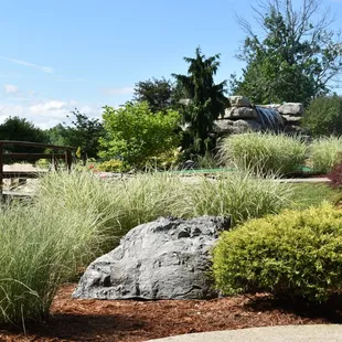 Hole 4 at the back and 5 far right.