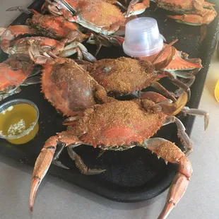 Crabs are awesome and reasonably priced Our waitress, KK, was attentive and friendly.  We are looking forward to our next trip back!