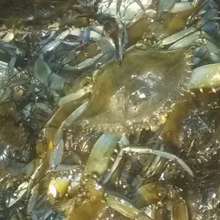 Best Crabs in Buckeystown