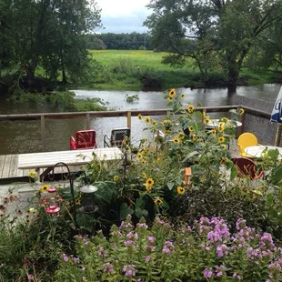 View from the back porch