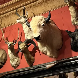 Mounts we could see from our table