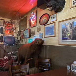 a bull and a bear head on the wall