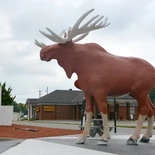 Big Zoning Controversy when this was on top of the Restaurant