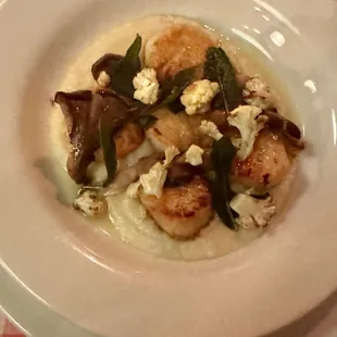 Scallops