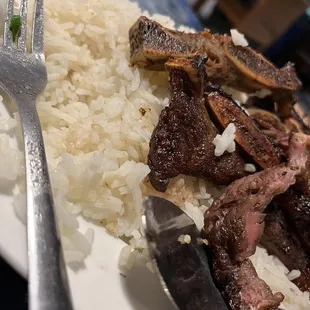 a plate of rice and meat