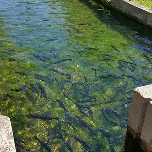 This is what you come for.