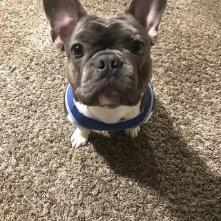 Precious M.