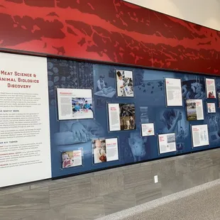a wall of information about the school