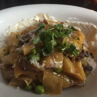 Short Rib Stroganoff