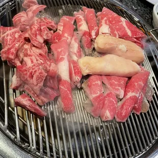 Large Intestines
