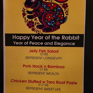 the year of the rabbit