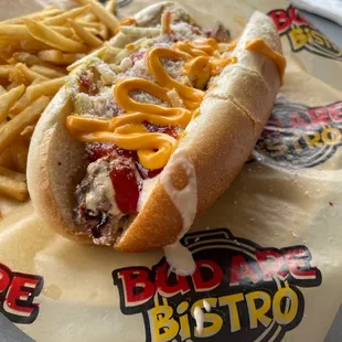 a hot dog and french fries