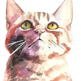 Nancy L.