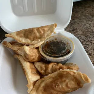 Fried Dumplings